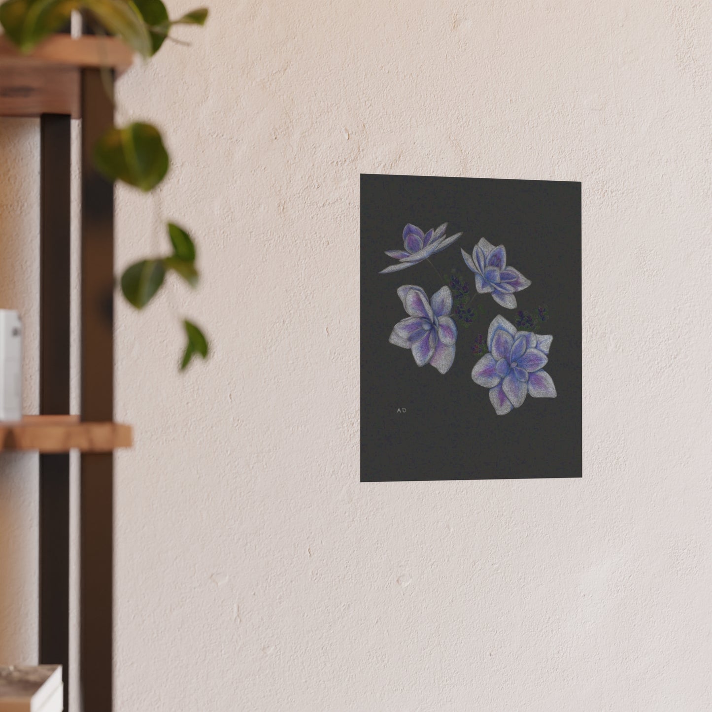 Stargazer Hydrangea Blossoms | Satin & Archival Matte Prints