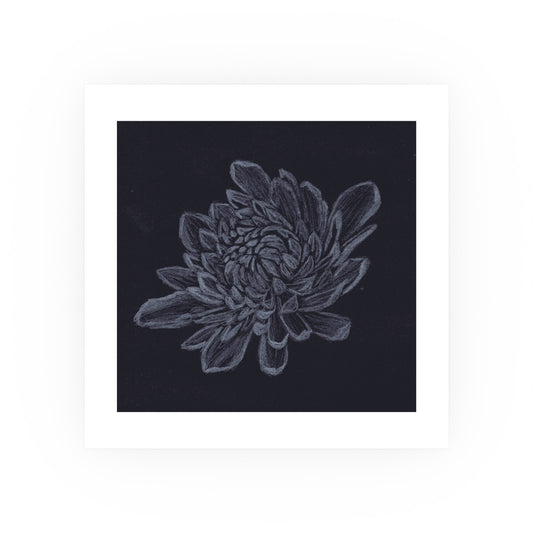 Chrysanthemum | Satin & Archival Matte Prints