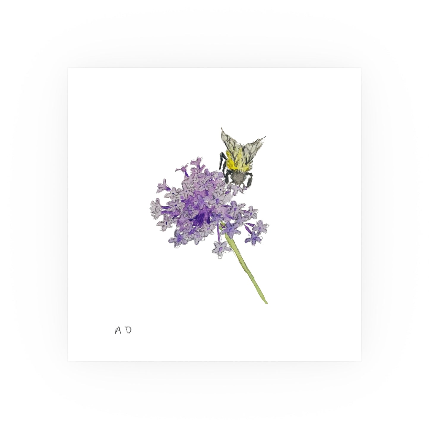 Bumblebee on Purpletop Vervain - Verbena | Satin & Archival Matte Prints