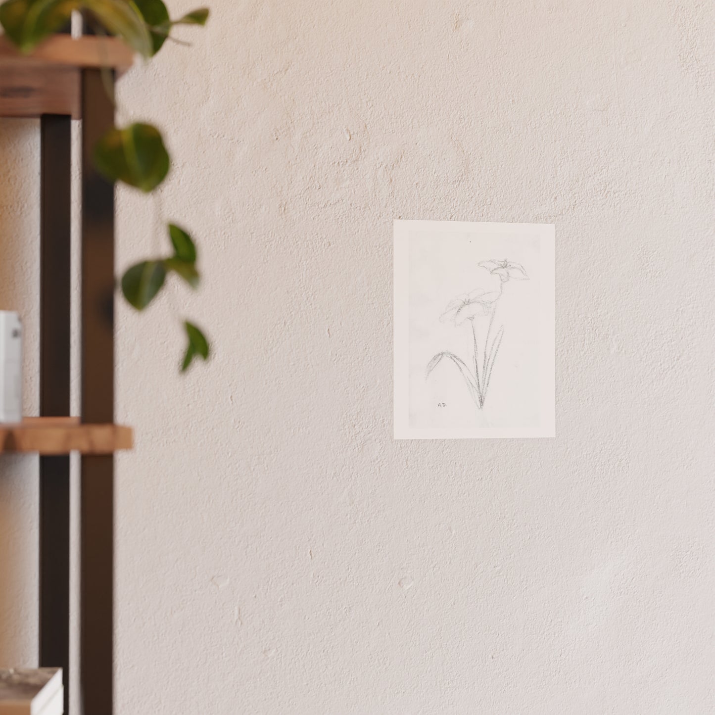 Botanical Sketch | Satin & Archival Matte Prints