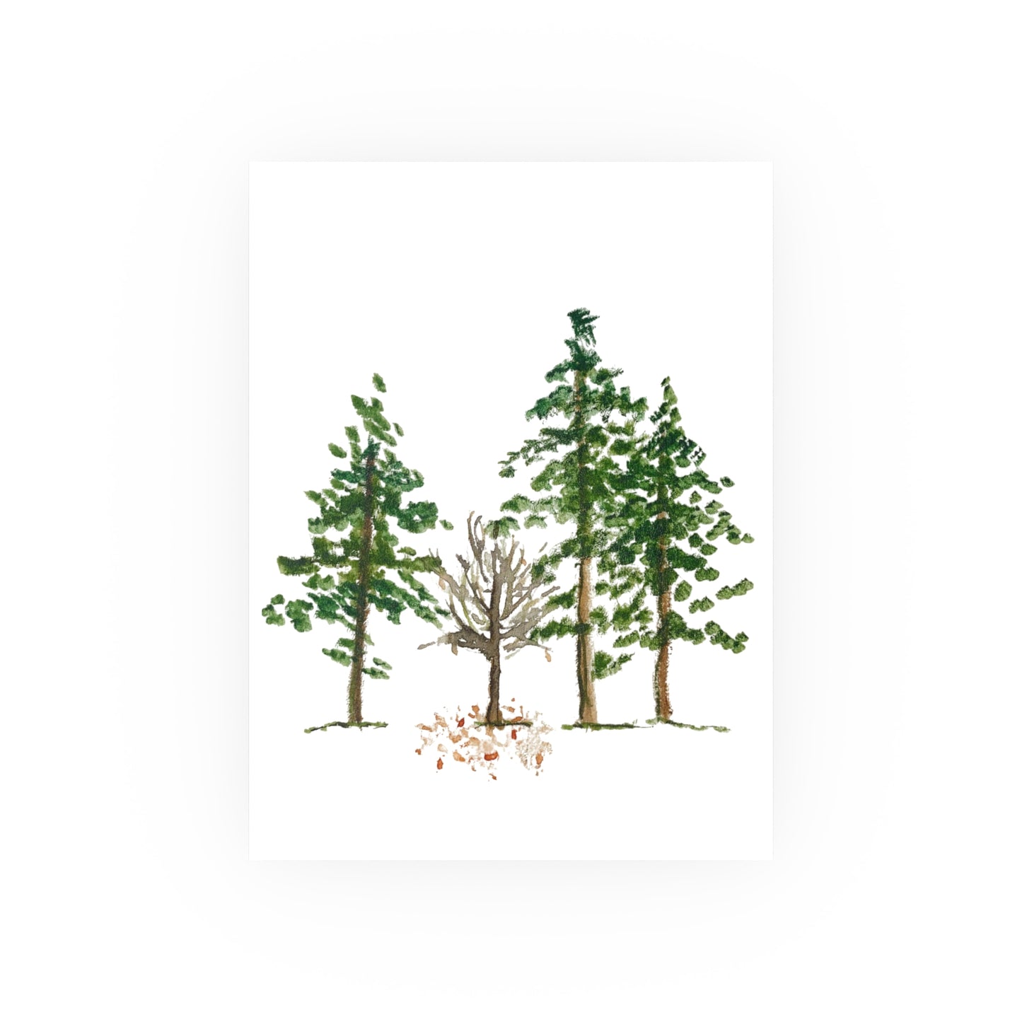 Four Trees | Satin & Archival Matte Prints