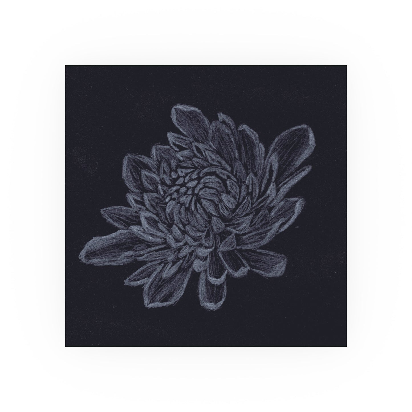 Chrysanthemum Edgeless | Satin & Archival Matte Prints