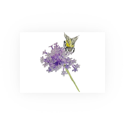 Bumblebee on Purpletop Vervain - Verbena | Satin & Archival Matte Prints