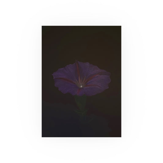 Morning Glory | Satin & Archival Matte Prints