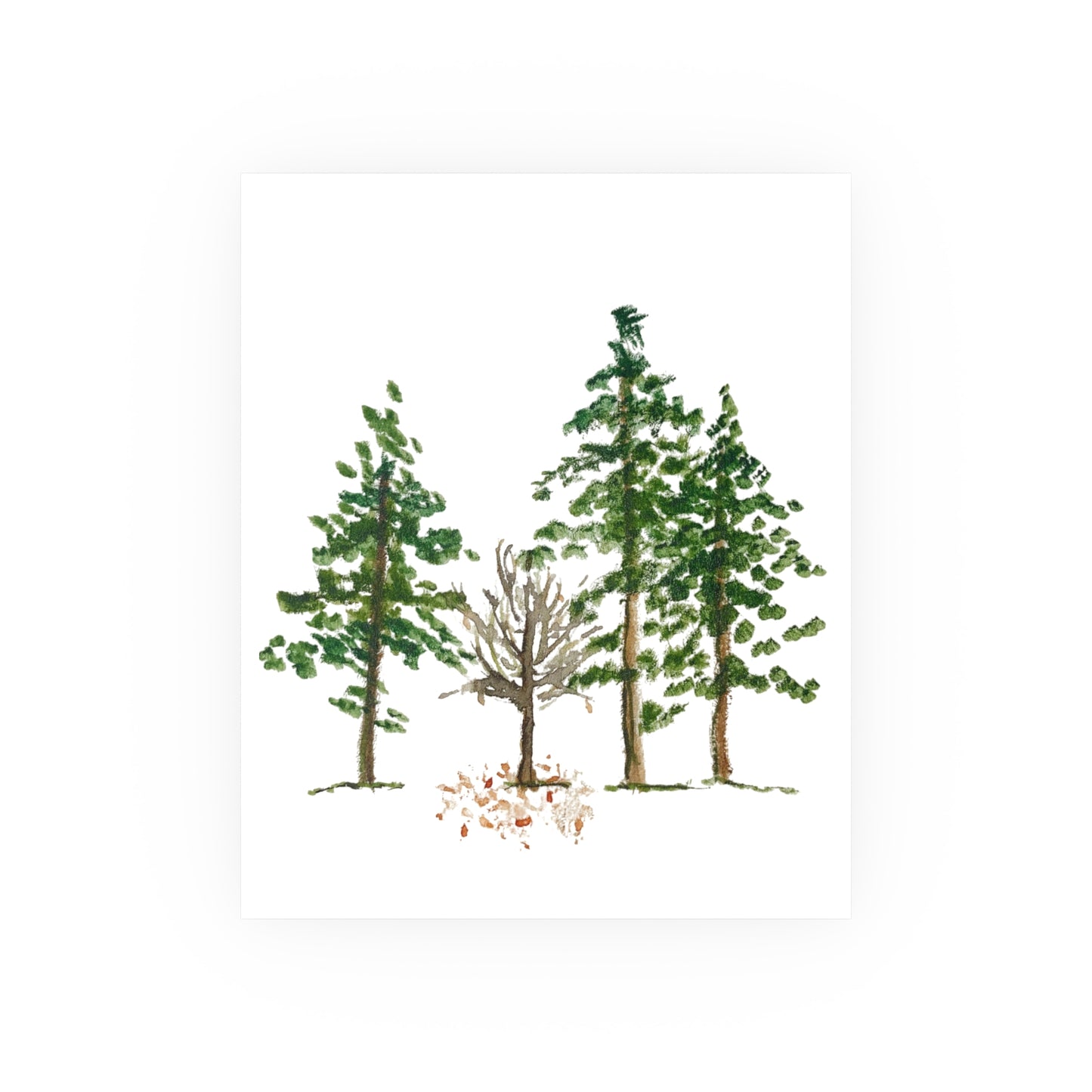 Four Trees | Satin & Archival Matte Prints
