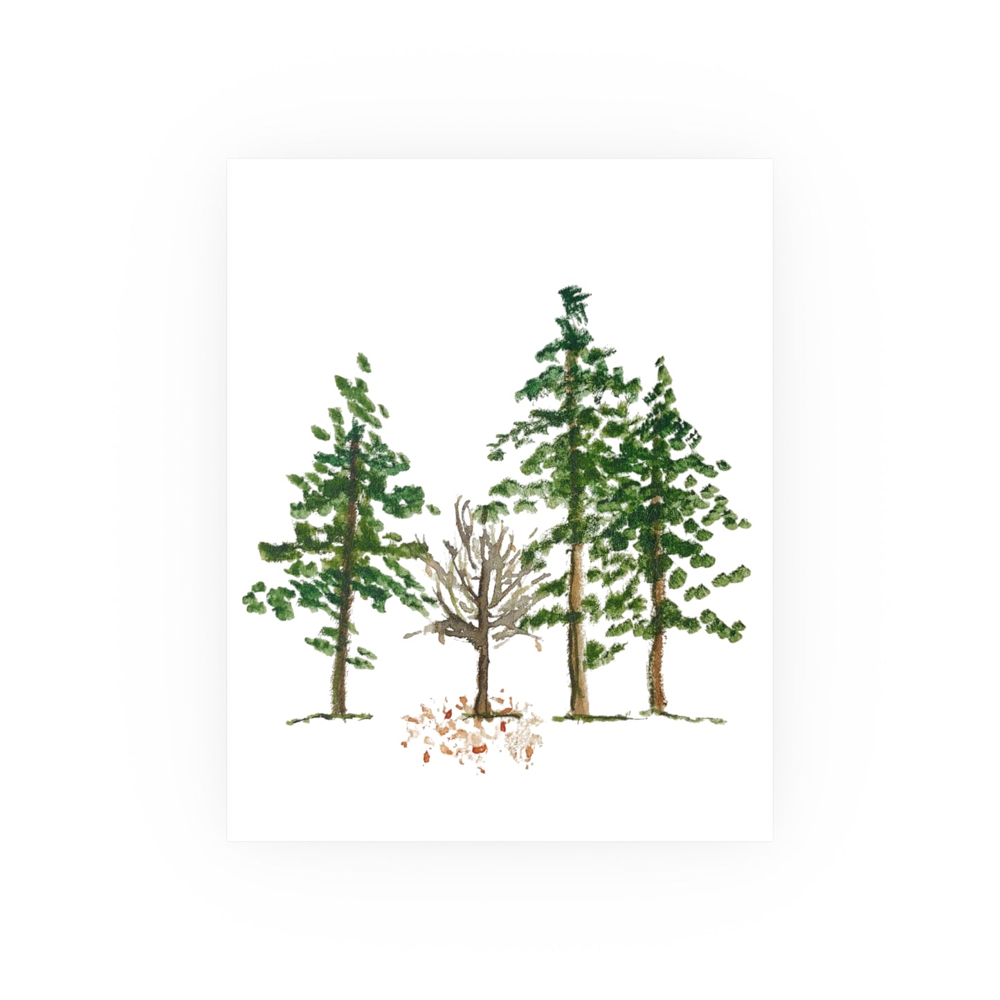 Four Trees | Satin & Archival Matte Prints