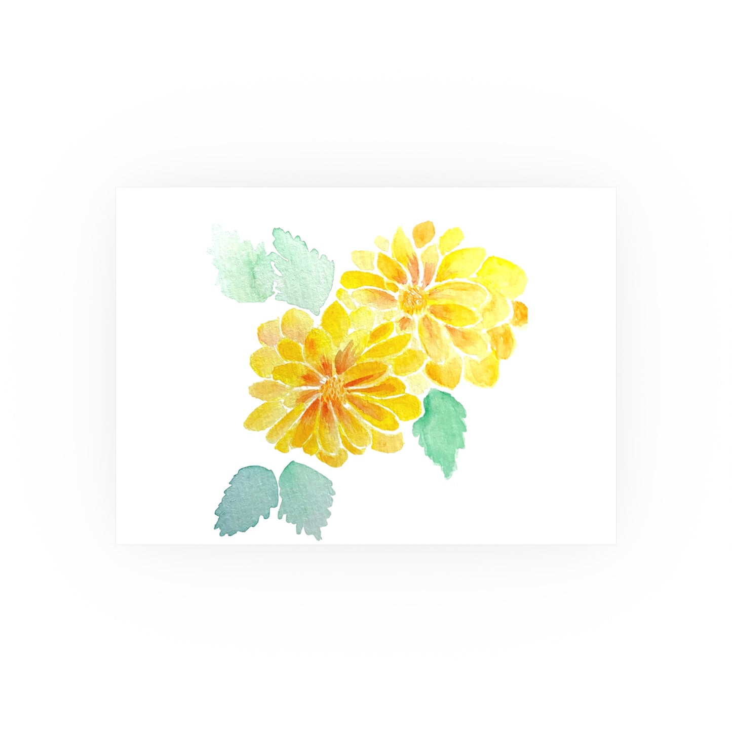 Apricot Redeye Dahlia | Satin & Archival Matte Prints