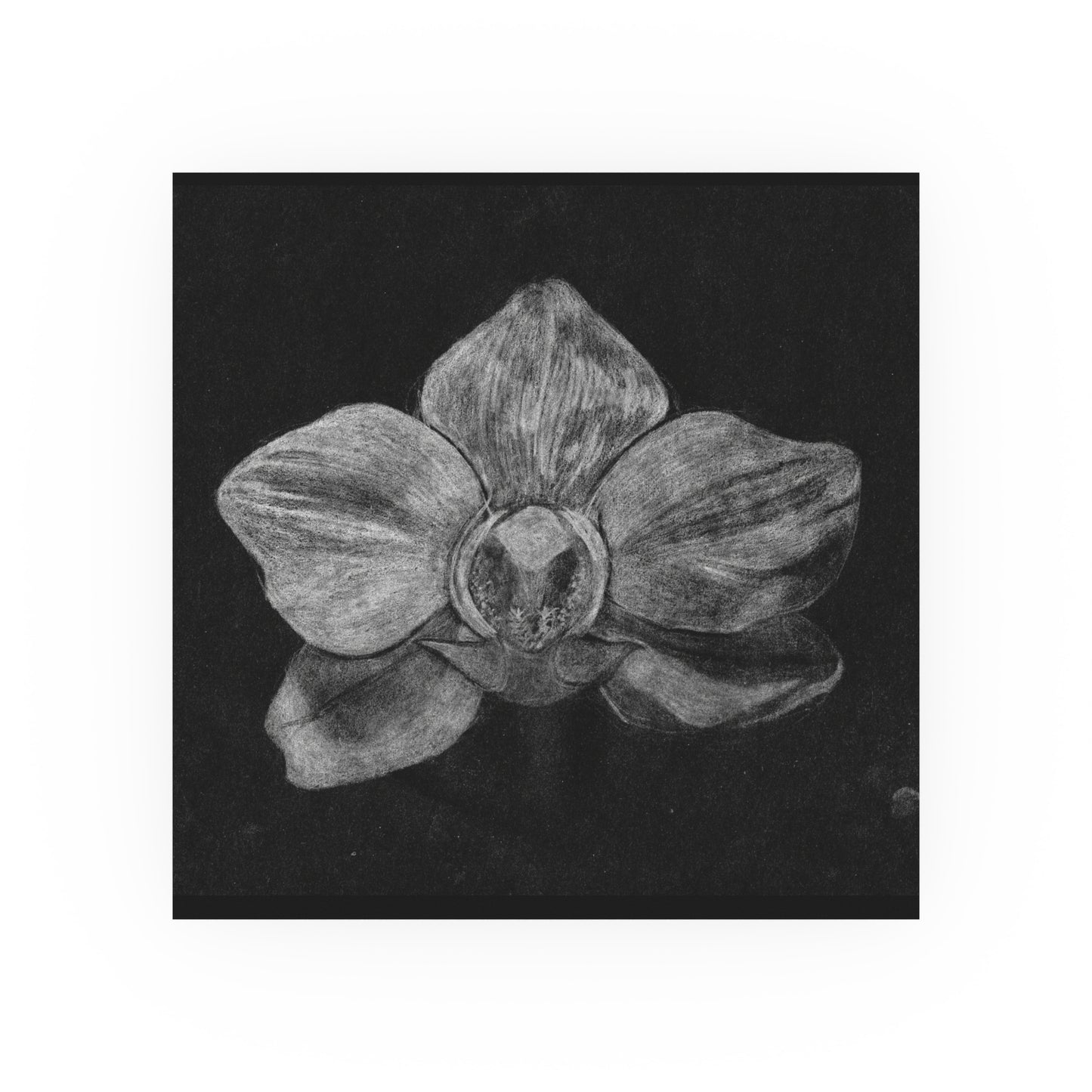 Orchid | Satin & Archival Matte Prints