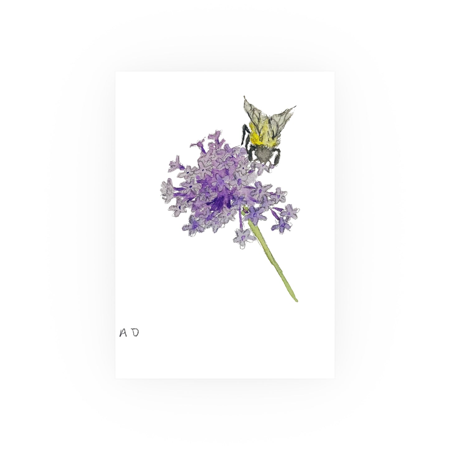 Bumblebee on Purpletop Vervain - Verbena | Satin & Archival Matte Prints