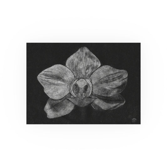 Orchid | Satin & Archival Matte Prints